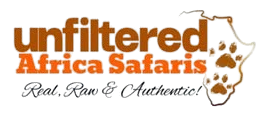Unfiltered Logo Removebg Preview