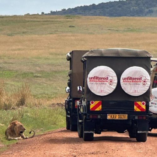 Unfilteredafricasafaris