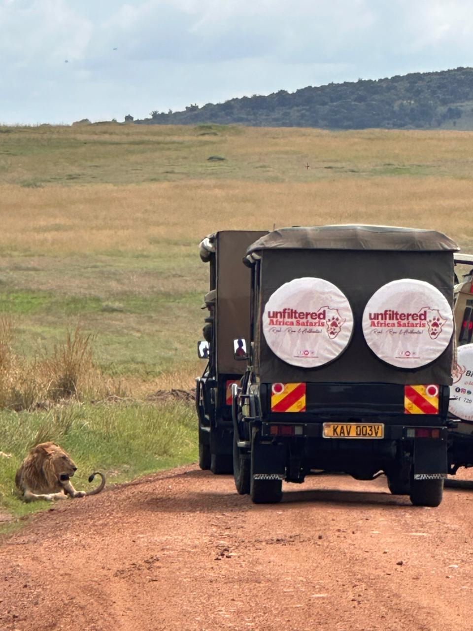 Unfilteredafricasafaris
