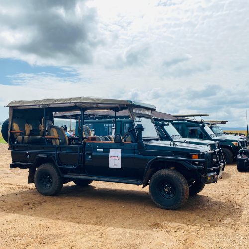 Unfilteredafricasafaris1 1