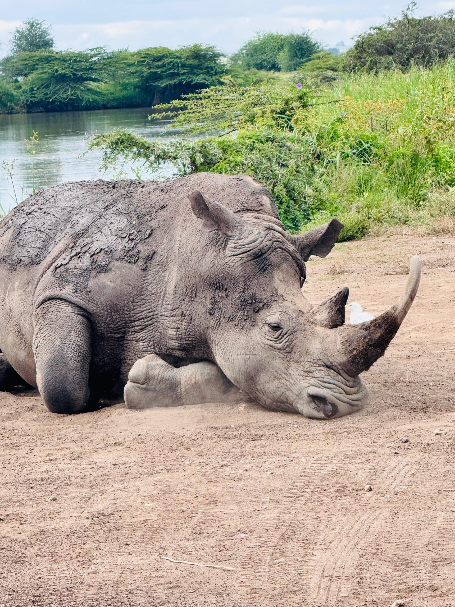 Unfilteredasafaris