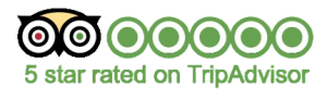 5 Stars Tripadvisor Removebg Preview